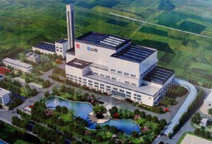 Mầm Non Tự Học Tiếng Anh