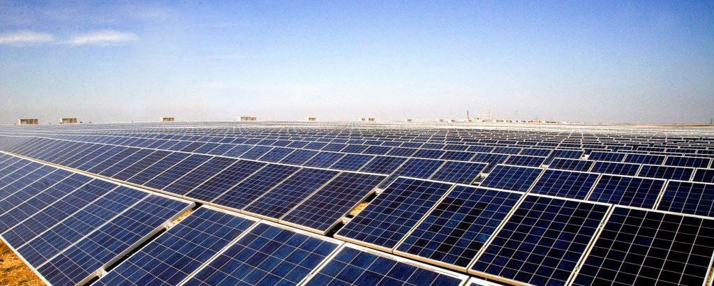 Mầm Non Tự Học Tiếng Anh