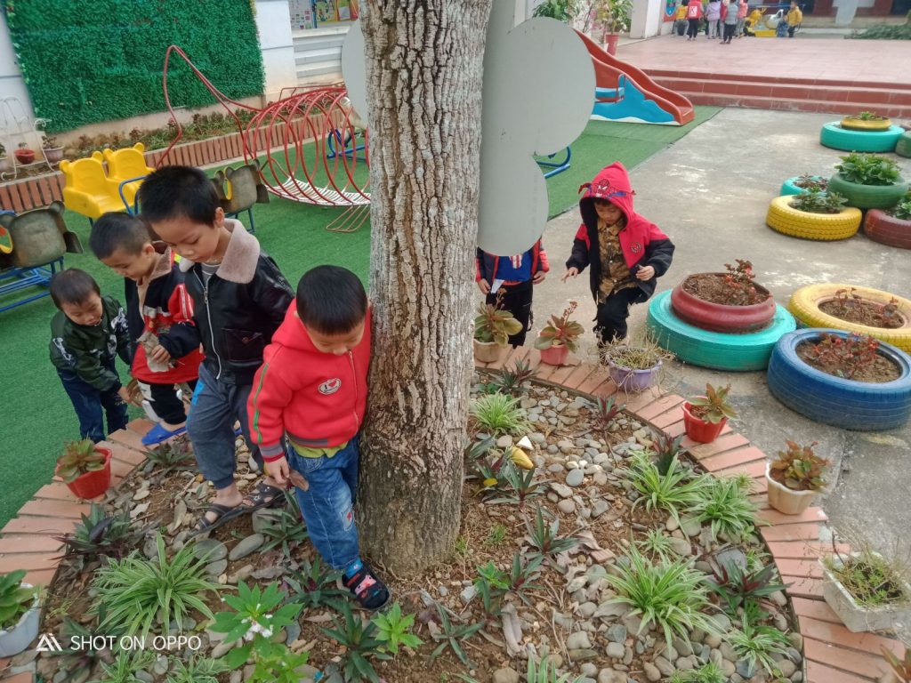 Mầm Non Tự Học Tiếng Anh
