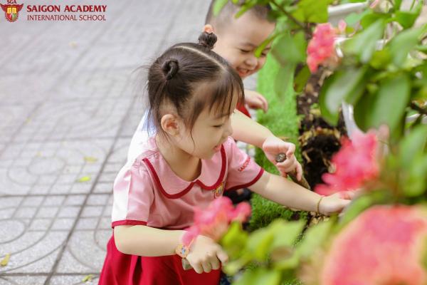 Mầm Non Tự Học Tiếng Anh