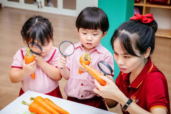 Mầm Non Tự Học Tiếng Anh